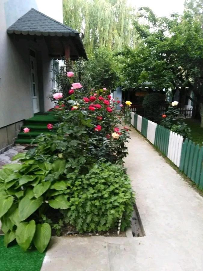 Vila - Creta Năvodari Exterior foto